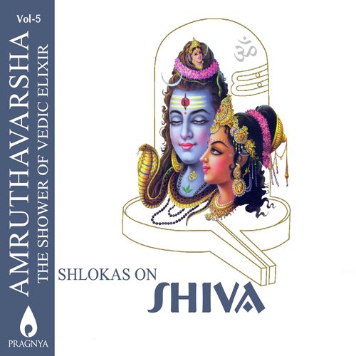 Shiva Thaandava Sthothram