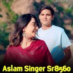 Aslam Singer Sr8560
