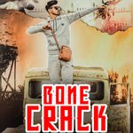 Bone Crack