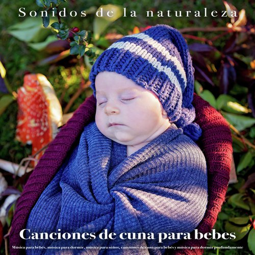 Canciones infantiles para niños cover art
