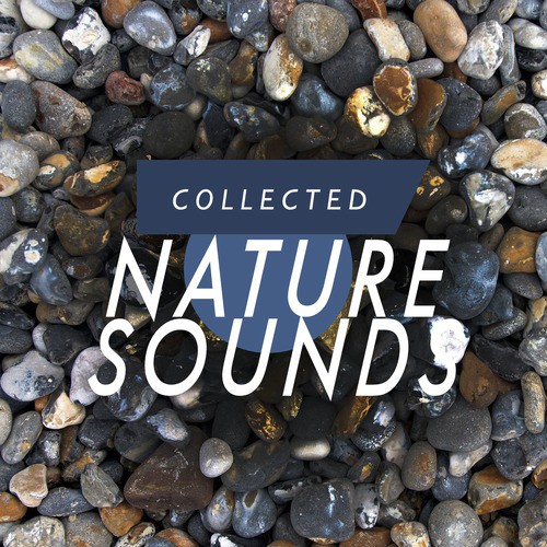 Collected Nature Sounds