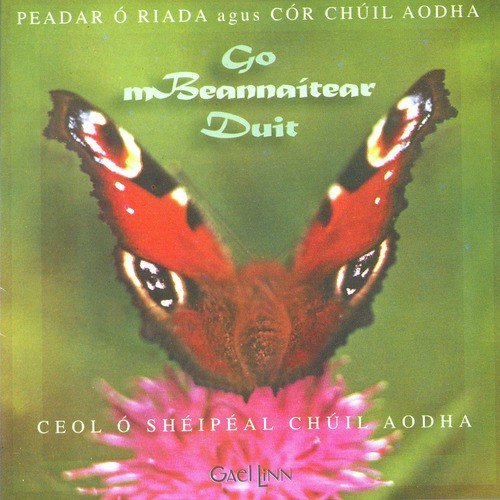 Is É an Tiarna M'aoire