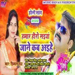 Hamar Hero Saiya Jane Kaiha Aihe