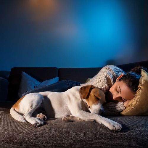 Música Ambiental Relajante Para Perros cover art