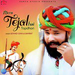 Mera Tejal Hai Tapdhari