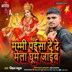 Mummy Paisa De De Mela Ghumne Jaaye