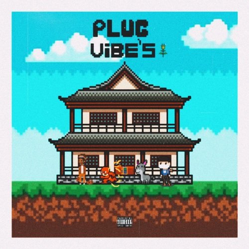 Plug Vibe's
