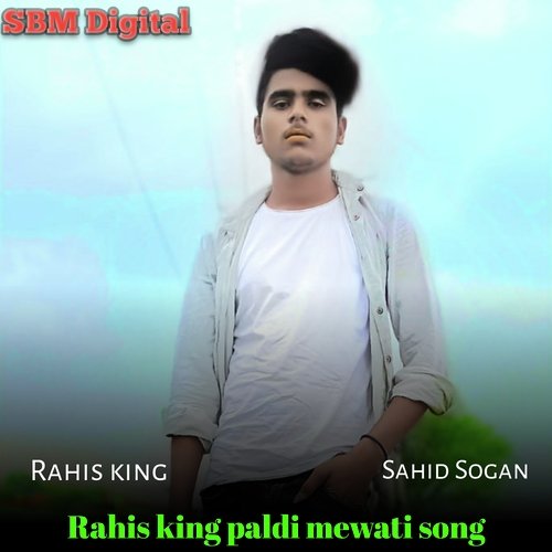 Rahis King Paldi Mewati Song