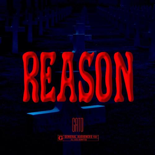 Reason_poster_image