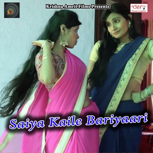 Saiya Kaile Bariyaari_poster_image