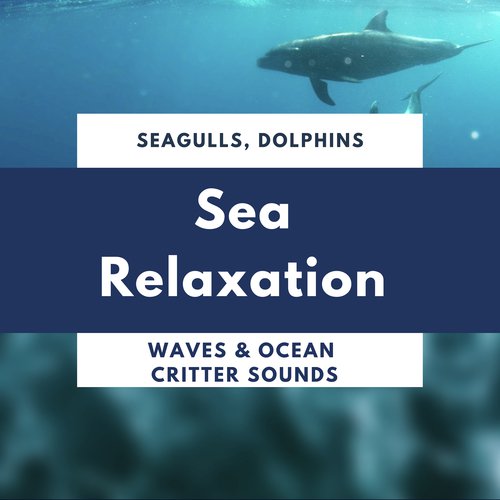 Sea Relaxation - Seagulls, Dolphins, Waves & Ocean Critter Sounds