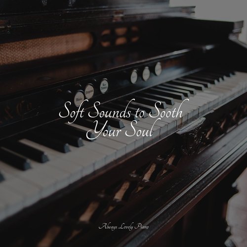 Soft Sounds to Sooth Your Soul