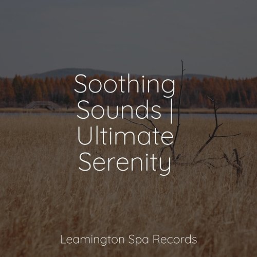 Soothing Sounds | Ultimate Serenity