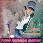 Soyab Harsoliya mewati