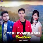 Teri Pyar Bhari Baatein