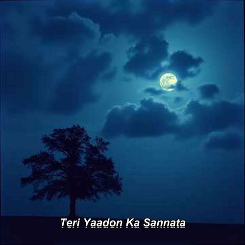 Teri Yaadon Ka Sannata