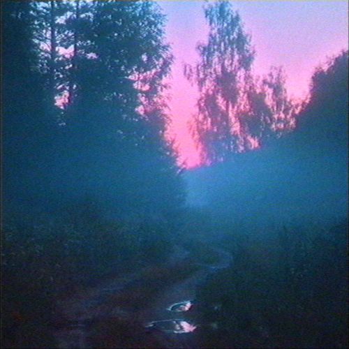 wildwind