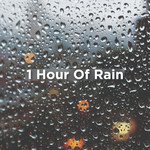 1 Hour Of Rain_poster_image