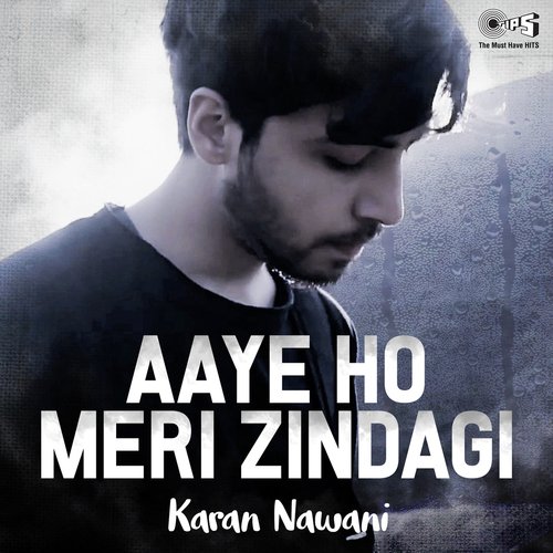 Aaye Ho Meri Zindagi Mein (Cover Version)_poster_image