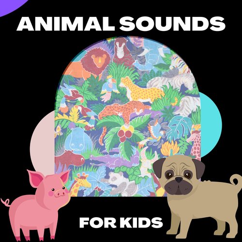 Animal Sounds For Kids_poster_image