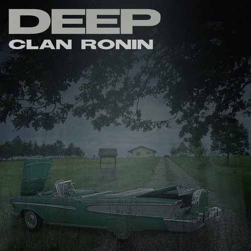 Deep cover art
