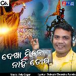 Dekha Mile Nahin Tora - Sricharan Mohanty