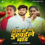 Dil Ke Kaahe Dukhaile Baada