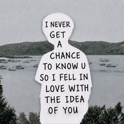 I Fell for the Idea of You