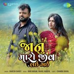 Janu Maro Jiv Lai Gayi