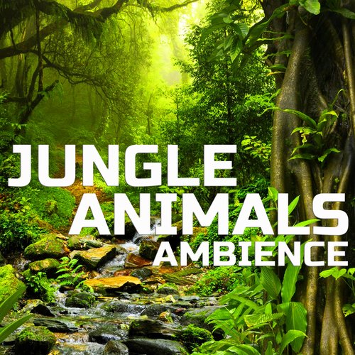 Jungle Animals Ambience_poster_image