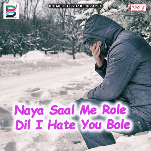 Naya Saal Me Role Dil I Hate You Bole_poster_image