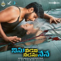 Ninu Veedani Needanu Nene (Original Motion Picture Soundtrack)