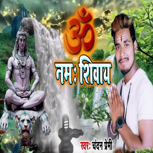 Om Namah Shivay