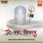 Om Namah Shivay
