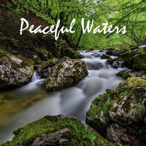 Peaceful Waters_poster_image