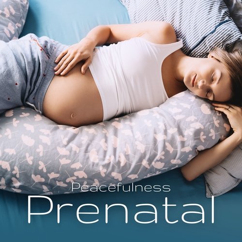 Prenatal Peacefulness: Gentle Sounds for Pregnancy Relaxation and Sleep_poster_image