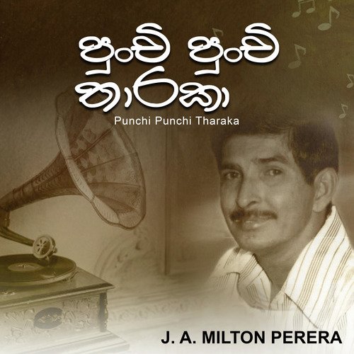 Punchi Punchi Tharaka - Single