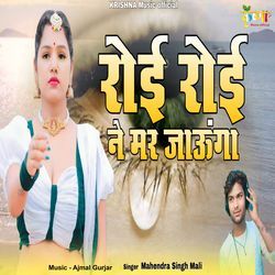 Roi Roi Ne Mar Jaunga