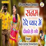 Sanam Tere Pyar Me Hm Deewane Ho Gye