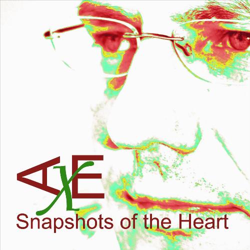 Snapshots of the Heart