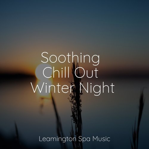 Soothing Chill Out Winter Night