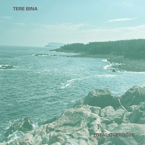 Tere Bina