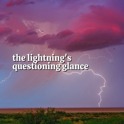 Tranquil Barrage of Rain