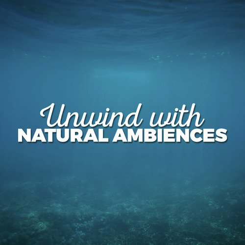 Unwind with Natural Ambiences