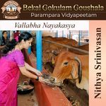 Vallabha Nayakasya
