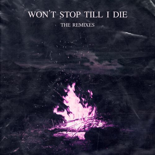 Won't Stop Till I Die (feat. Marseya) [ACE Remix]