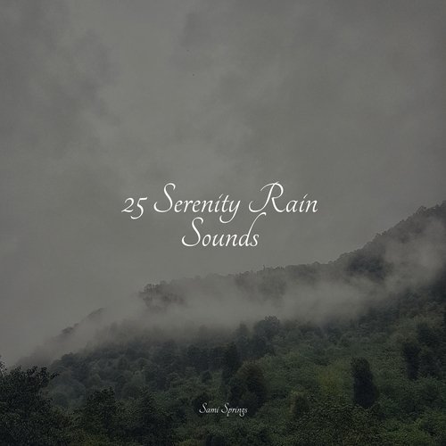 25 Spa Rain Sounds_poster_image