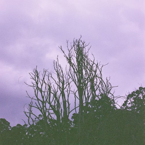 30 Quiet Autumn Rain Pieces for Calming Day