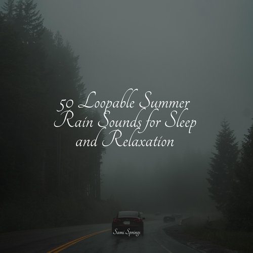 Soothing Ocean Sounds cover art