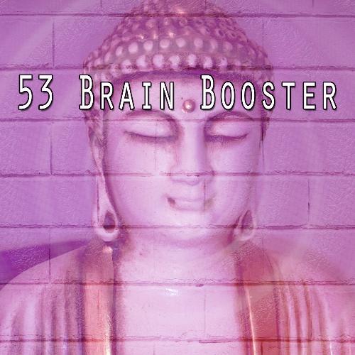 53 Brain Booster_poster_image